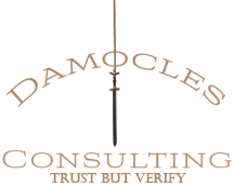 Damocles Consulting